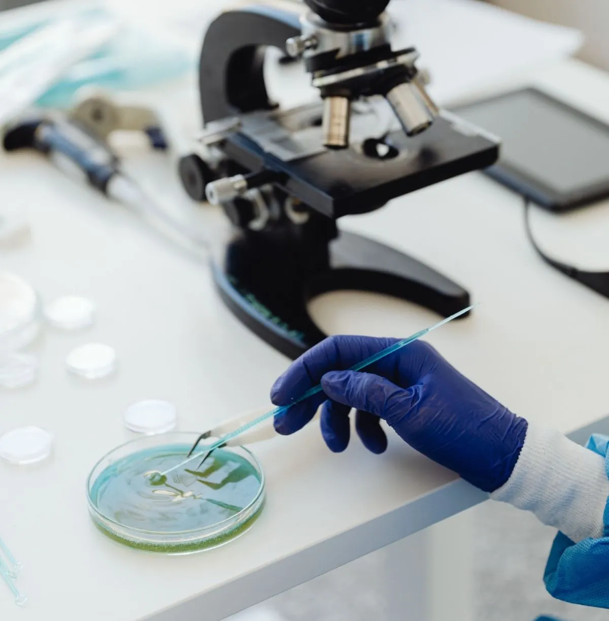 Una mostra del laboratori amb un microscopi